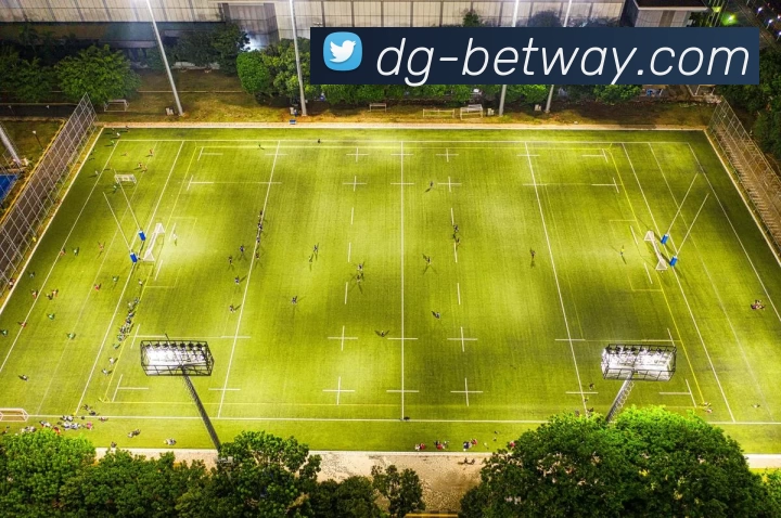 必威体育平台发展历程